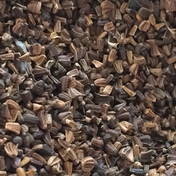 <a href='http://m.gz5835.com/caohuazhongzi/1019.html' target='_blank'>艾草種子</a>圖片