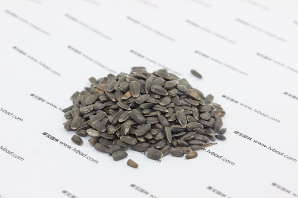 觀賞<a href='http://m.gz5835.com/caohuazhongzi/97271.html' target='_blank'>向日葵種子</a>