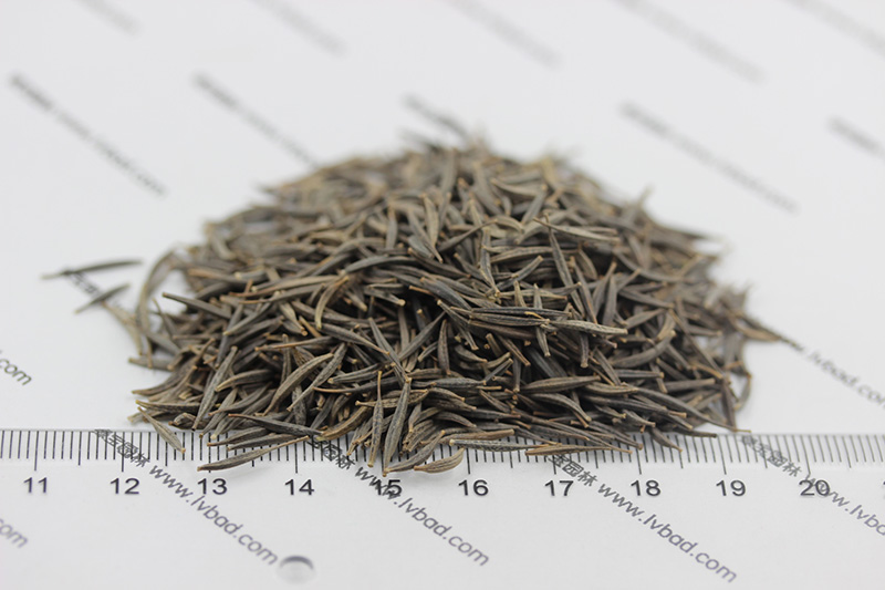 <a href='http://m.gz5835.com/caohuazhongzi/1054.html' target='_blank'>格?；?/a><a href='http://m.gz5835.com/' target='_blank'>種子</a>